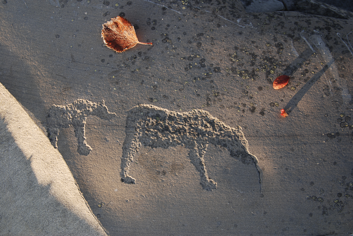 Illustration of the Rock carvings in Alta