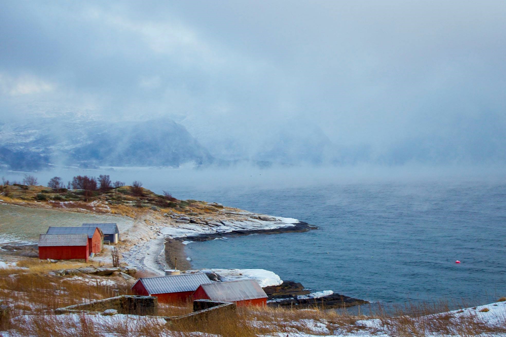 Dyrøy (c) Jenny Hoff