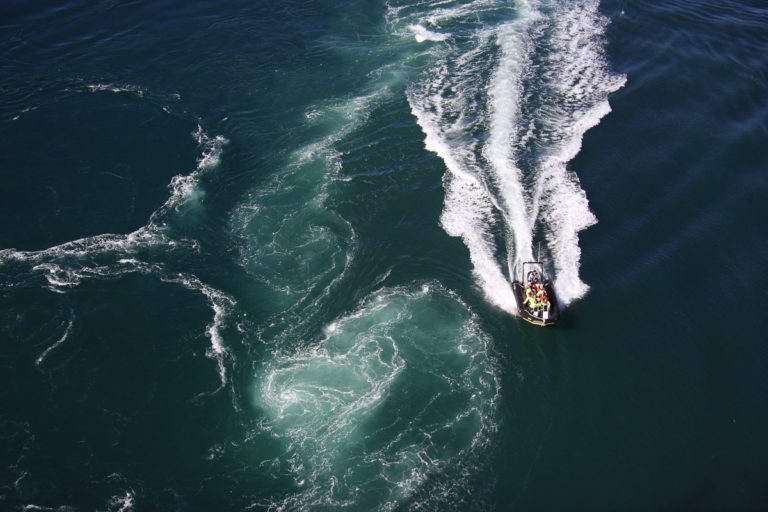 In the Saltstraumen Current