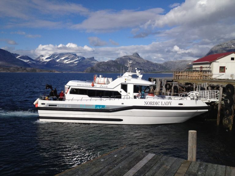 Lokalruta til Tårnvik © Roger Johansen