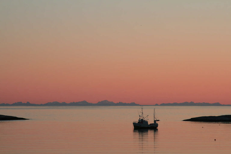 Pink nightskies © Benn Henriksen