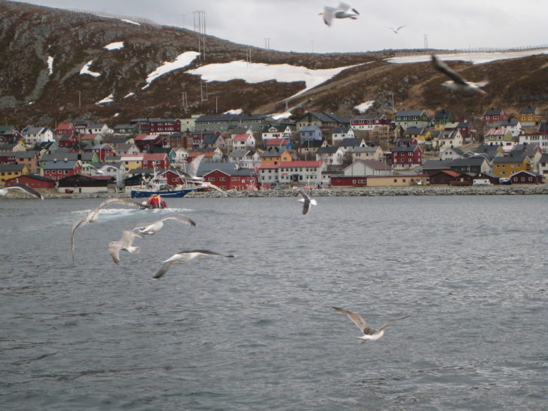 På vei ut fra Kjøllefjord © Nina Smedseng