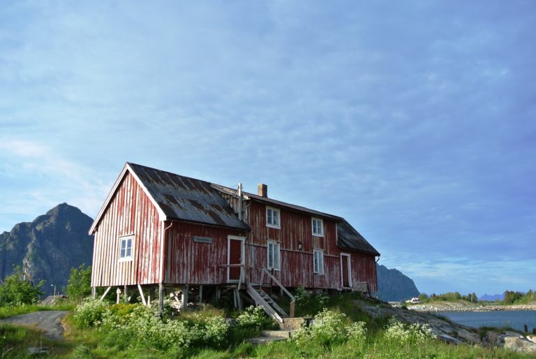 Gammelt og værbitt© Kristian Nashoug