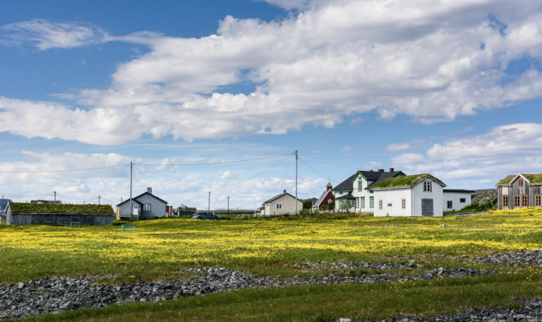 Sommereng og gamle hus med gress på taket i gamle Hamningberg © Fredrik Fløgstad/Statens Vegvesen