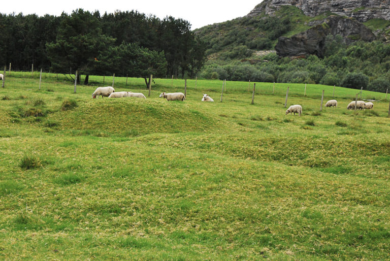 ...over which sheep graze peacefully... © Knut Hansvold