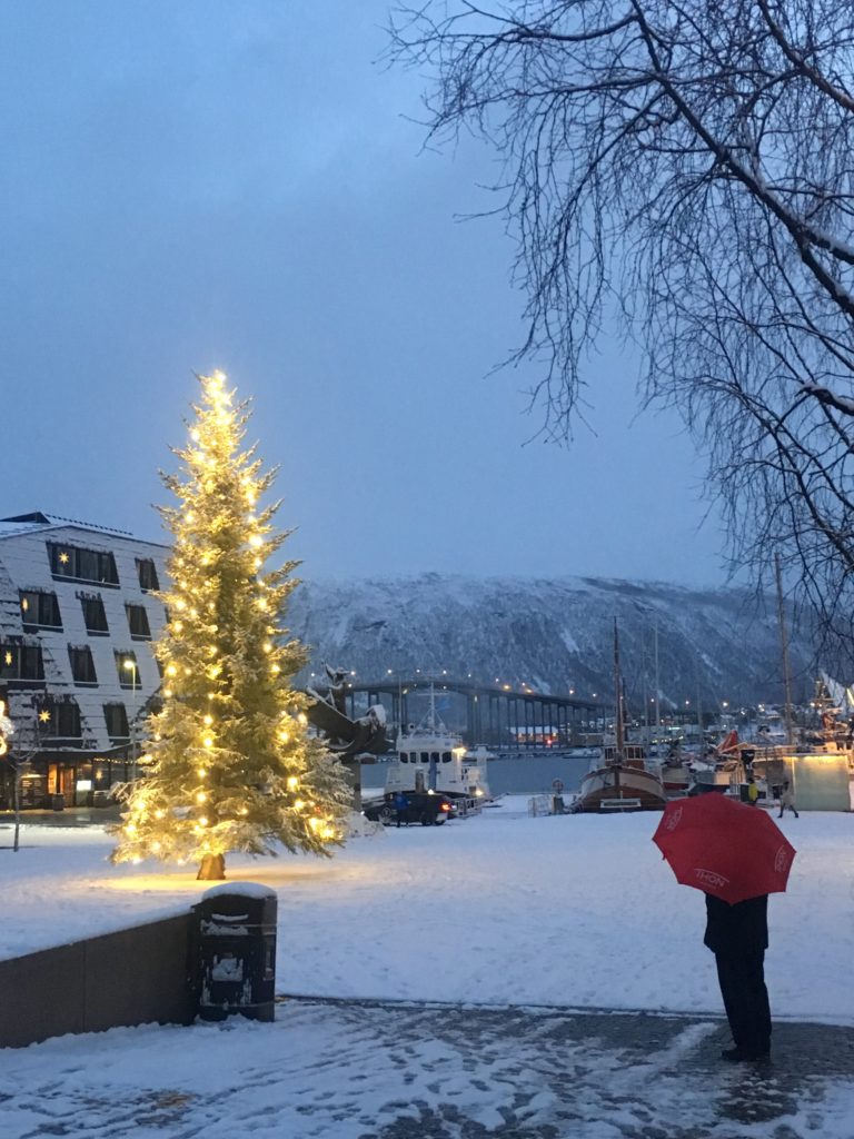 Snø er ikke garantert hele tida før jul, men som regel er det rikelig med snø © William Copeland