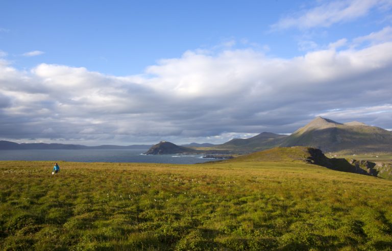 Landskapet på Sørøya er vidt, åpent og barskt © Anne Olsen Ryum