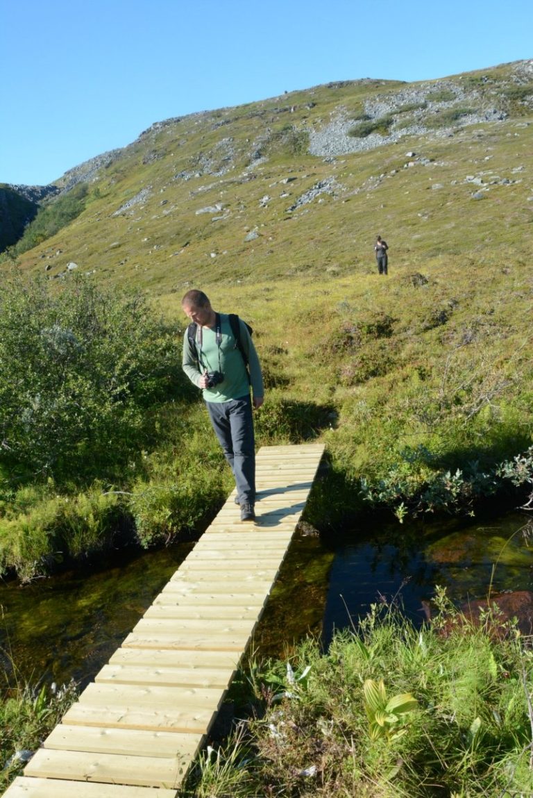Small bridges protect you from the hidden streams and marshland below © Knut Hansvold