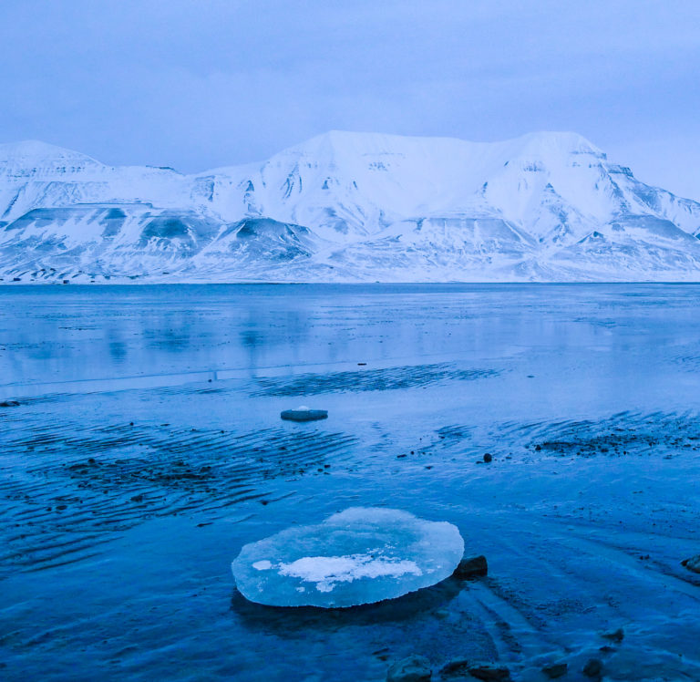 Blått lys på høsten © William Copeland