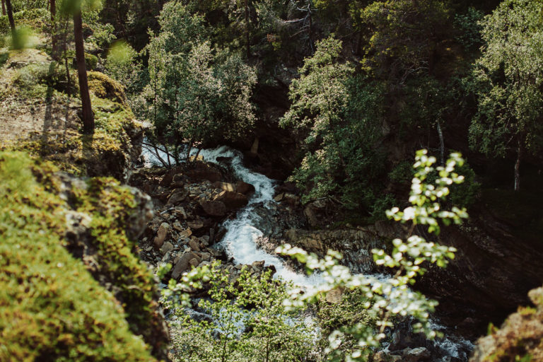 The untamed, pure wilderness © Frida Xiang