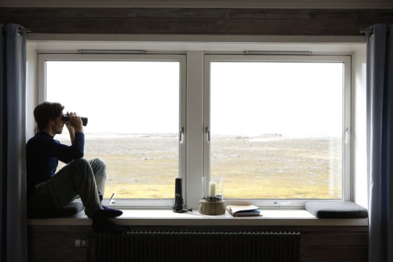 Slapp av inne og studer Svalbard-naturen © Kirsti Ikonen