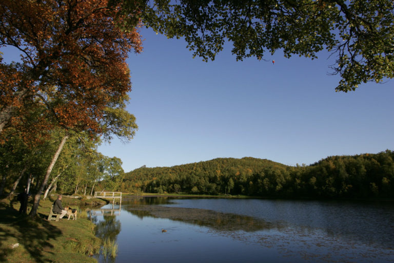 Early autumn in leafy Harstad © Frank Andreassen