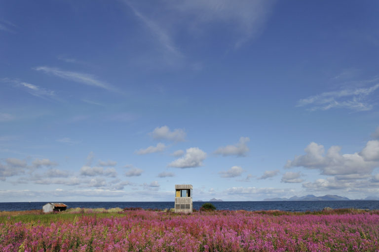 Park your bike downstairs and go up to see the view! © Steinar Skaar/Statens vegvesen