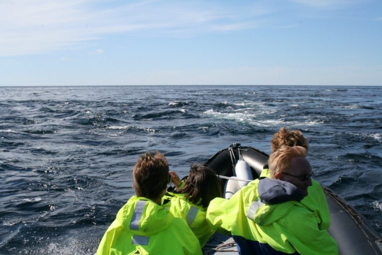 Water's can be rough and tidal currents are strong around Northern Norway © Aqua Lofoten Coast Adventure AS
