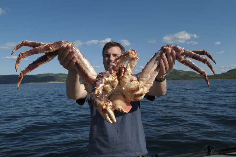 Ready for the chef. © Trym Ivar Bergsmo