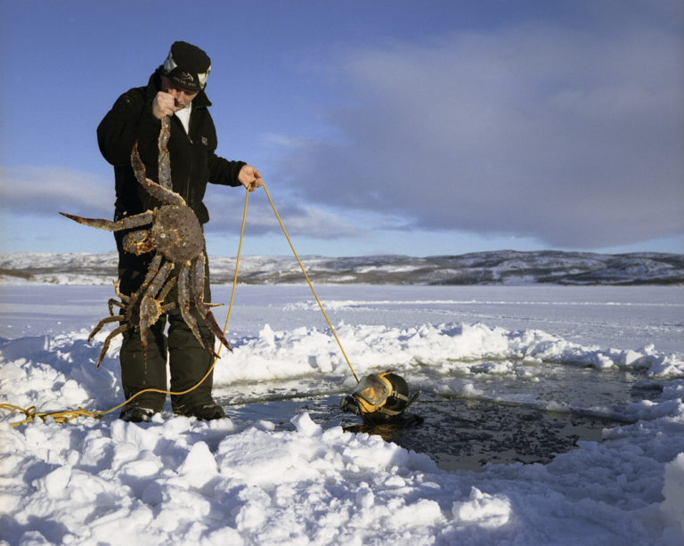 A hole in the ice, and you can go diving during the winter as well