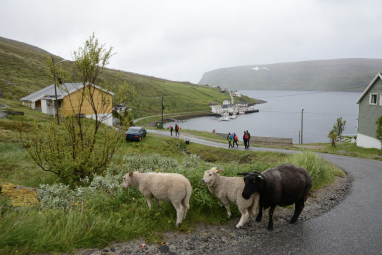Vått og regnfylt i Akkarfjord © Knut Hansvold