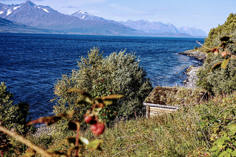 Jan Baalsrud was in hiding in this little hut in April 1943, he referred to it as "Hotel Savoy" © Knut Hansvold