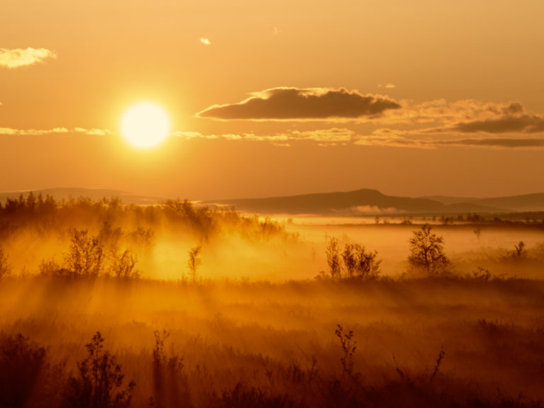 Finnmarksvidda © Turgleder