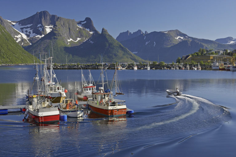 Fra havna i Mefjordvær ser du inn over senjafjellene © Bård Løken