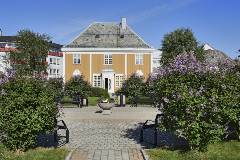 Syrinblomstring i sentrum © Bård Løken