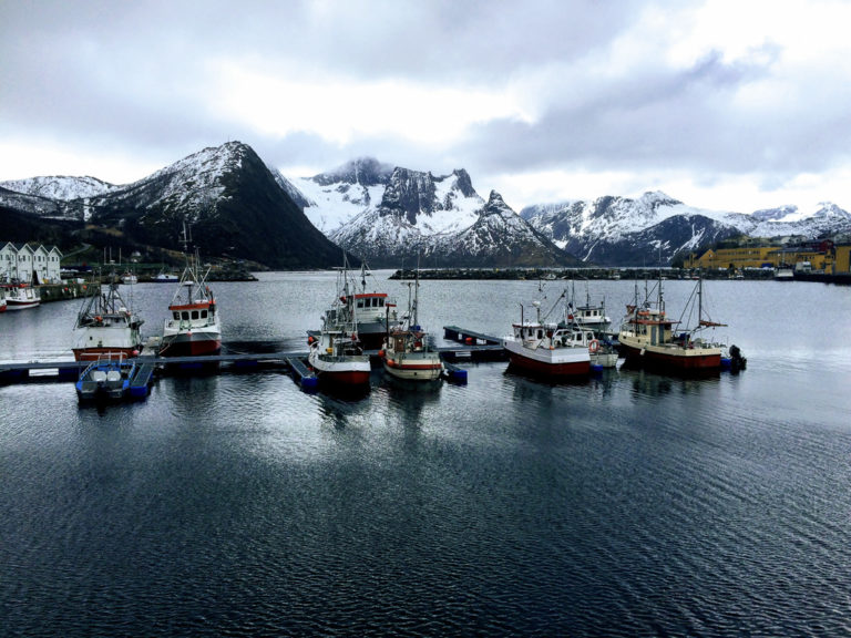 Port of Husøy in spring © Knut Hansvold