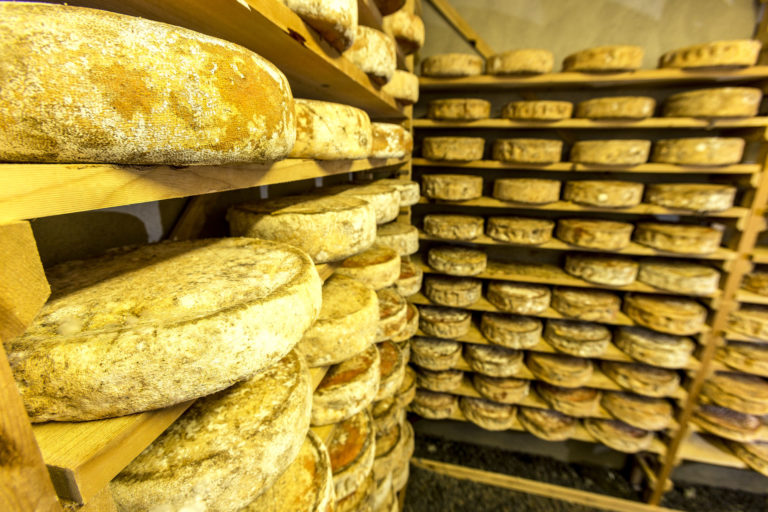 Cheese at the Kjerringø cheese factory © Rune Nilsen