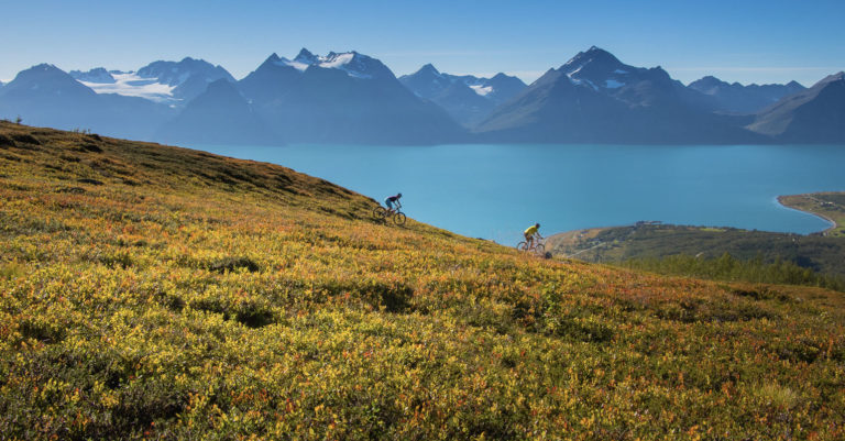 På sykkel i Lyngsalpene © Anna Rieblova