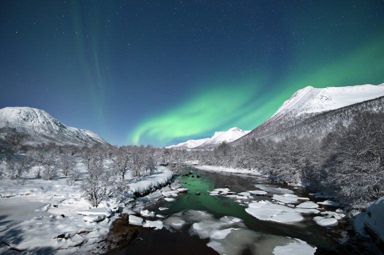 Refleksjoner i en bekk i Godfjord på Hinnøya © Marius Birkeland