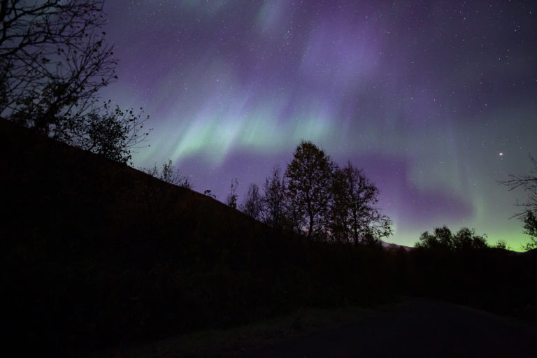 Trær og landskap i Tromsdalen © William Copeland