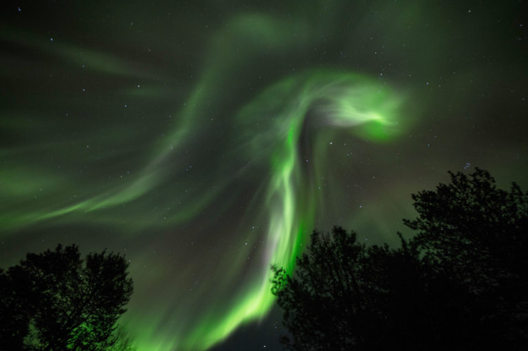 Fra Lullefjellet i Skibotndalen © William Copeland