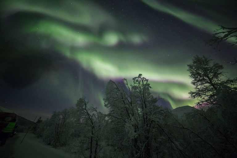 Frossen skog på Breivikeidet, en lav, skogkledd dal mellom to fjorder. Merk den spesielle spiralen midt i nordlyset © William Copeland