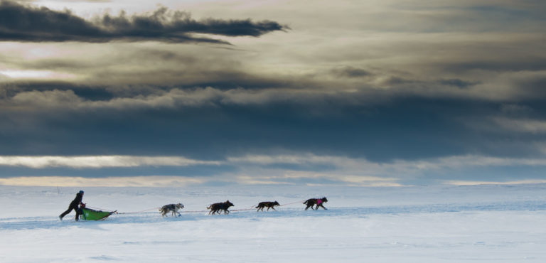 Vide horisonter på Finnmarksvidda © Geir Stian Larsen
