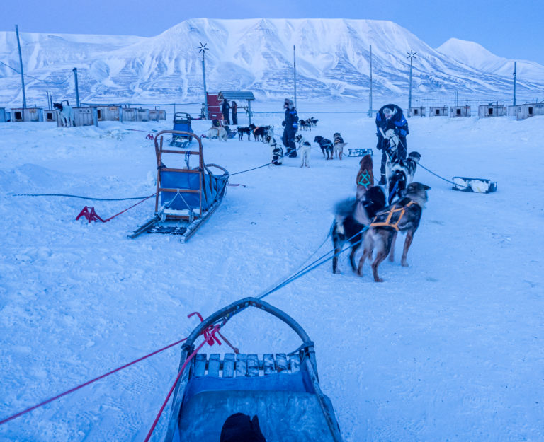 Lots of contact with the dogs is part it. They love to run © Ann J Nordvålen
