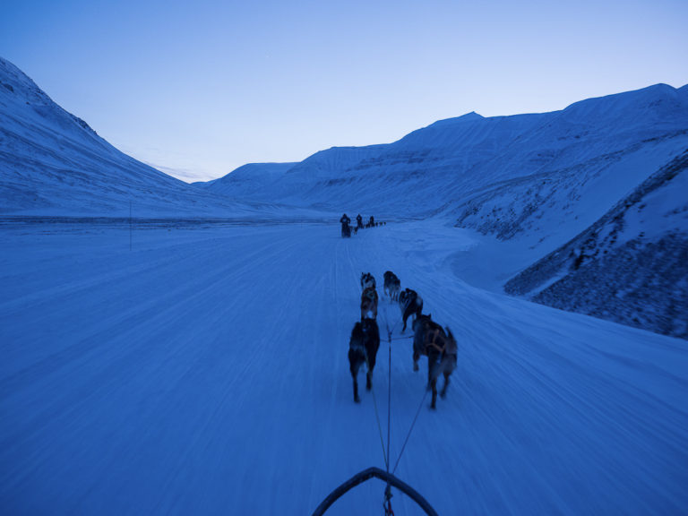 Dog sledding in the blue hour © Jan Nordvålen