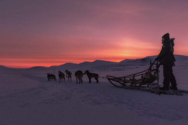 På hundeslede ut i villmarka © Terje Nergard Photography