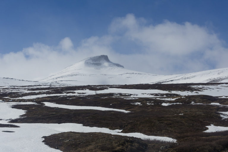 Crossing the Saltfjellet range in the early summer © Kathrine Sørgård