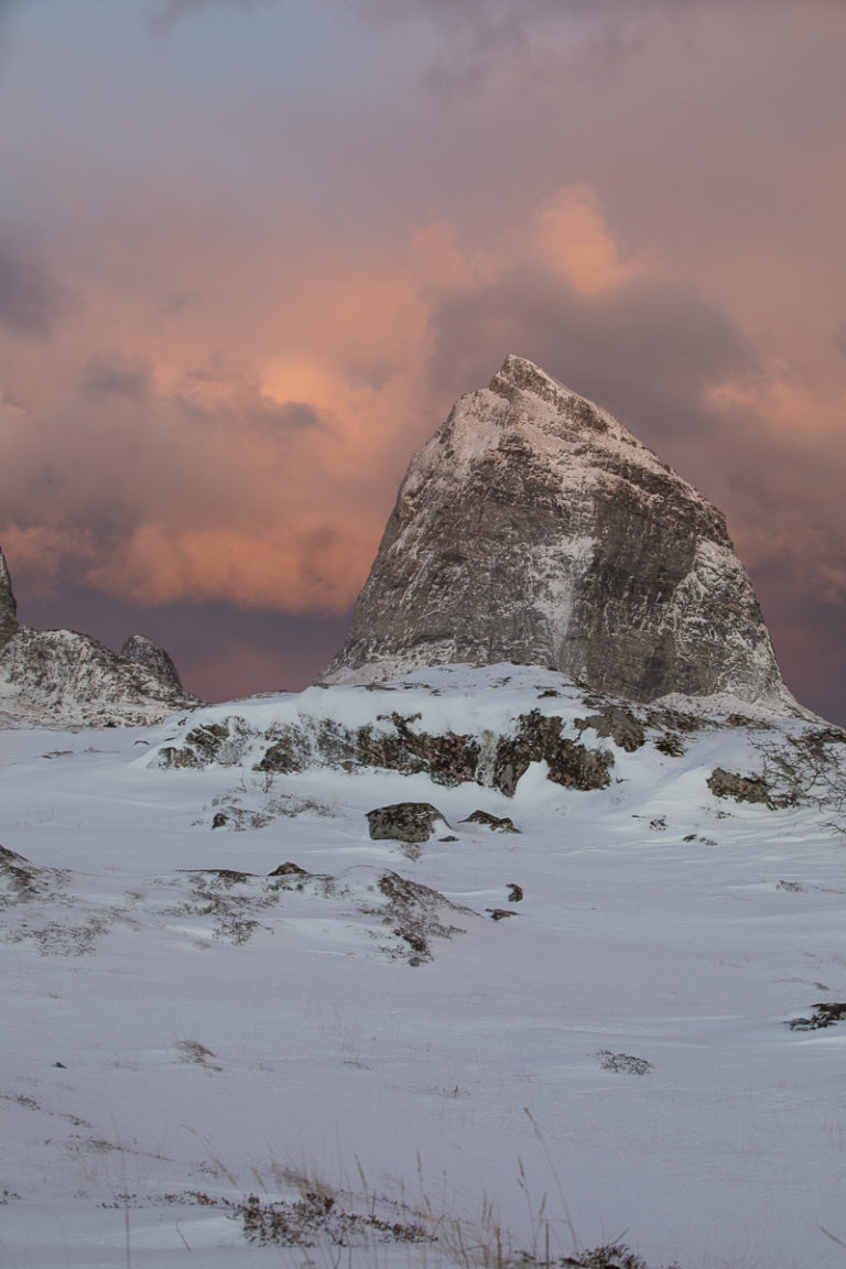 Trænstaven i rosa vinterlys © Kathrine Sørgård