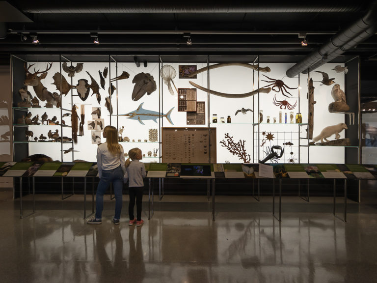 Zoologien forklart © Ketil Born 