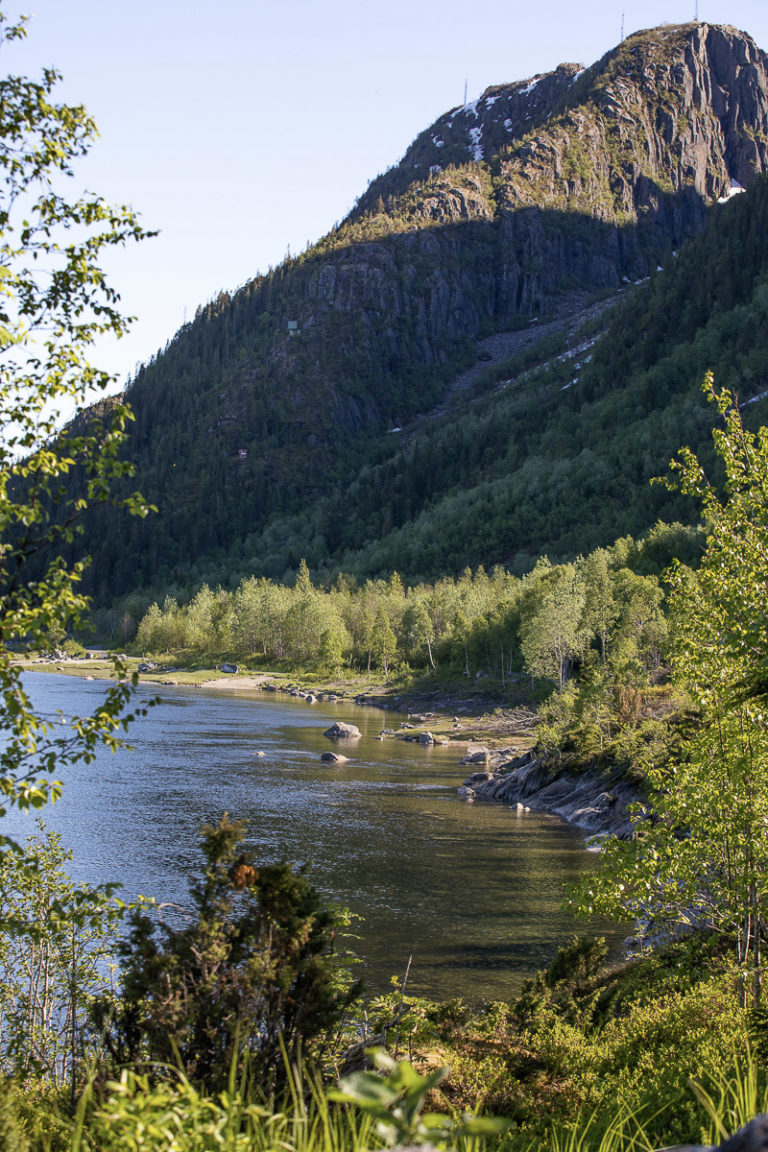 Øyfjellet ligger rett på andre siden av Vefsna. En sherpatrapp leder opp til toppen © Kathrine Sørgård