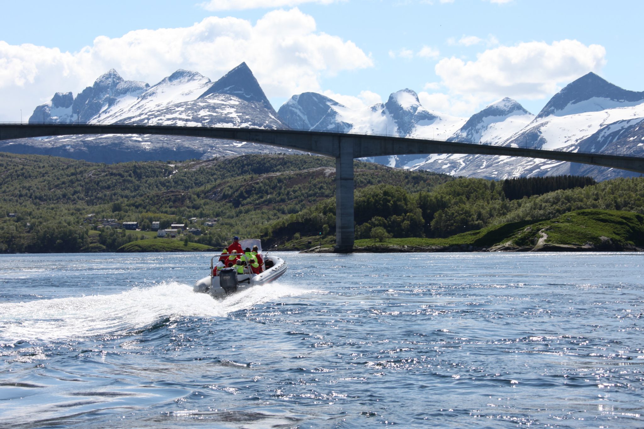Saltstraumen - strongest there is @Roger Johansen