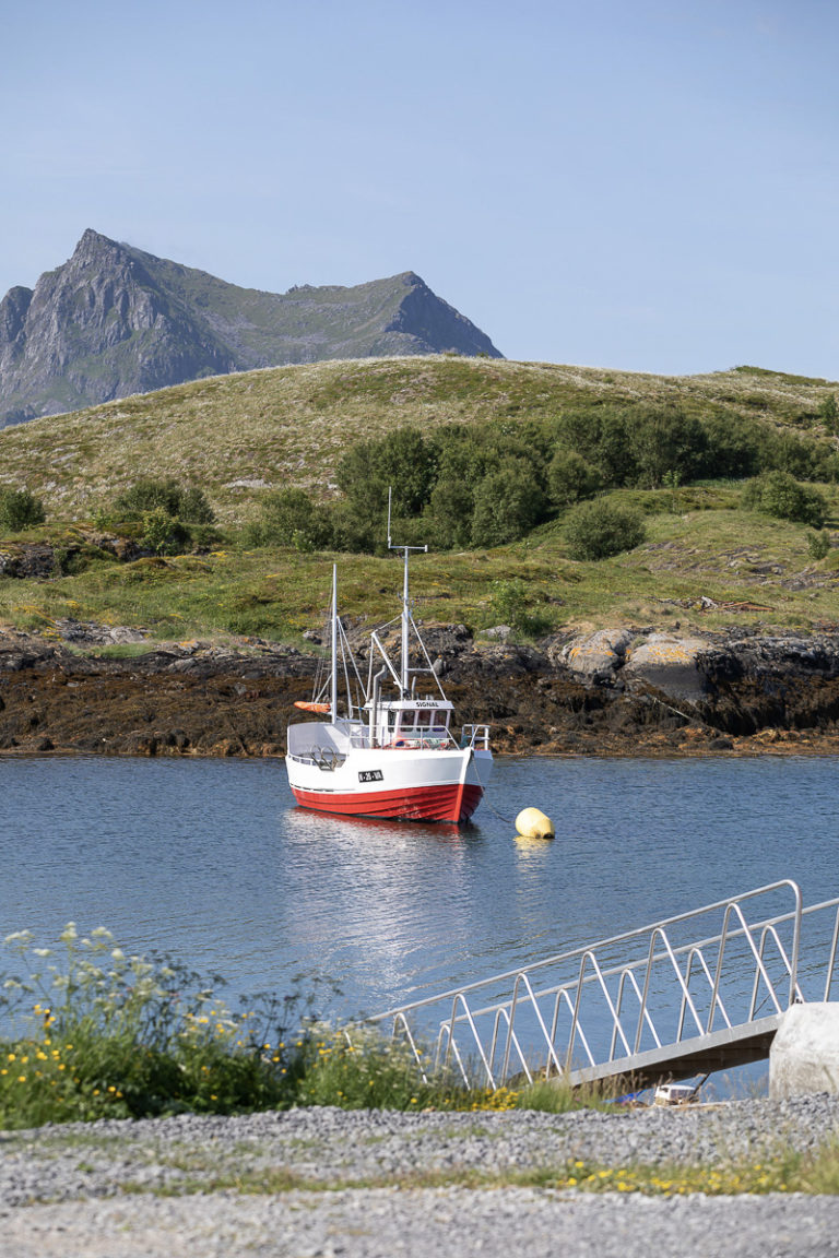 Idyll på Vega © Kathrine Sørgård