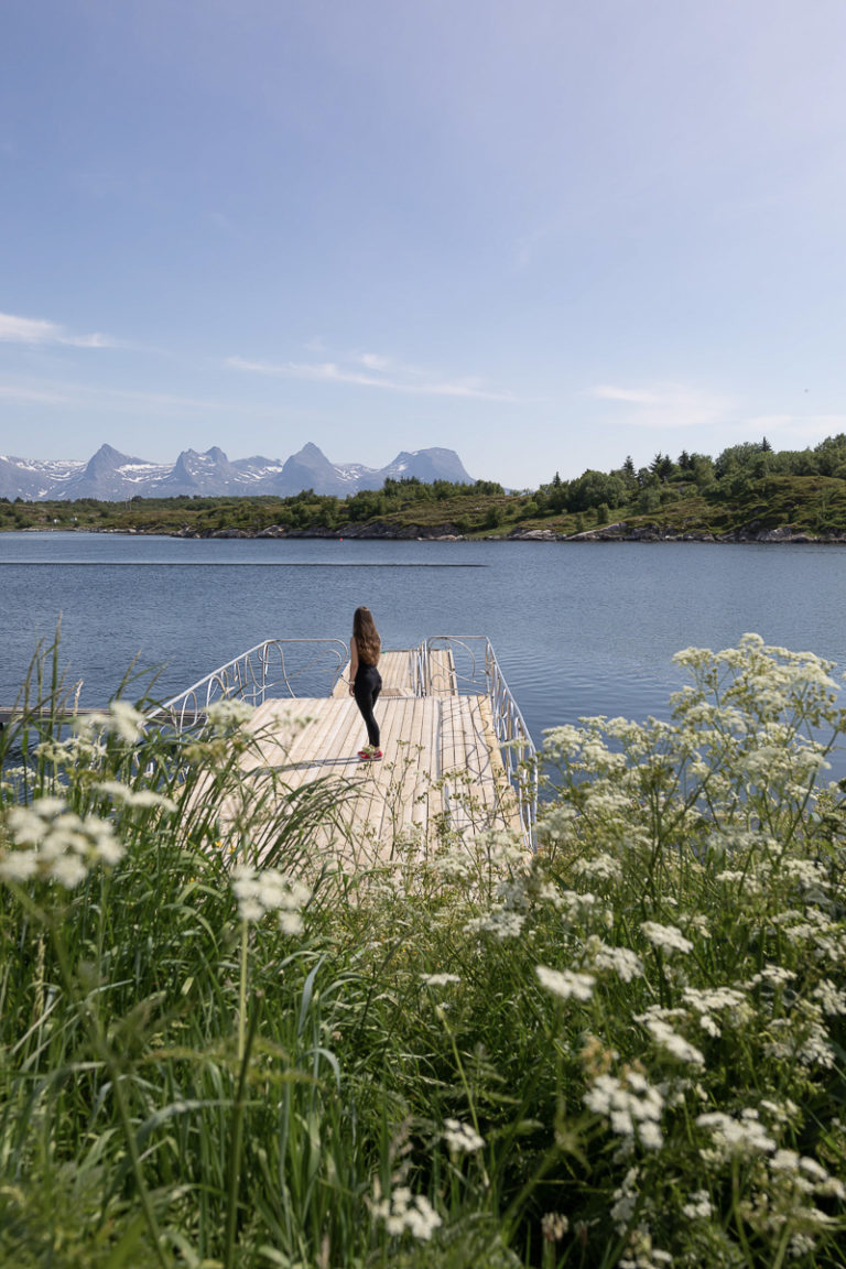 Sommerlig frodighet på Herøy © Katrine Sørgård