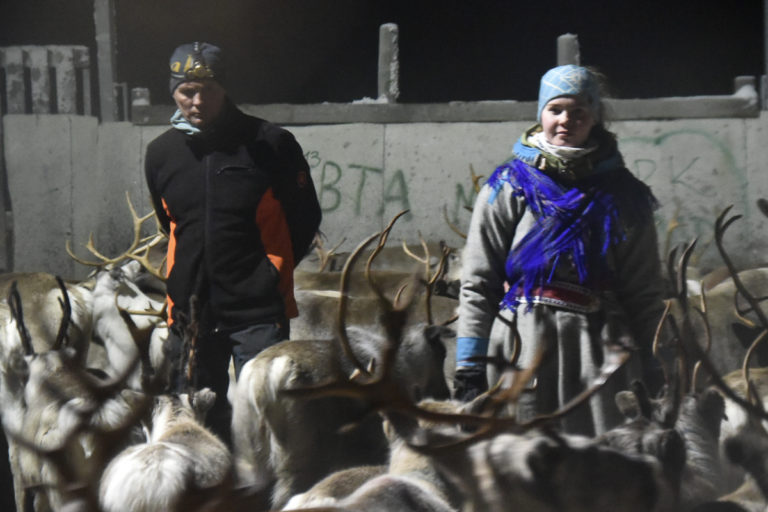 Fra seinvinteren, før vårflyttingen © Marit Helene Eira