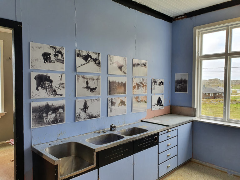 Exhibit about dogs at war in the old kitchen © Asbjørn Nilsen/Vardøhus Museumsforening