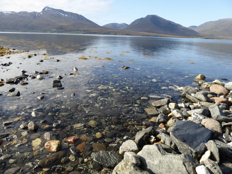 Throw a pebble to break the silence. Balsfjord © AM Hellberg Moberg