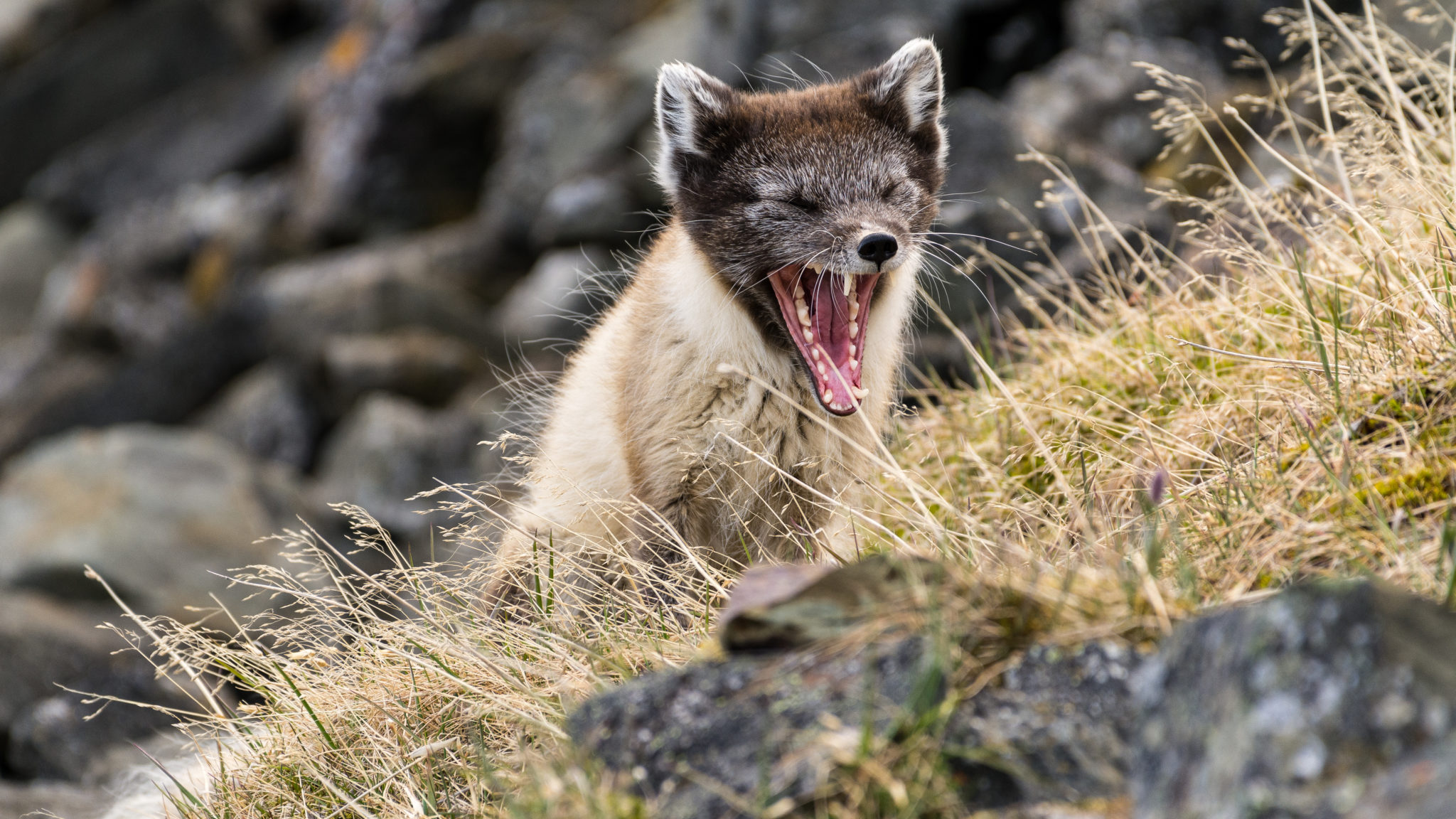 Foto: Jarle Røssland