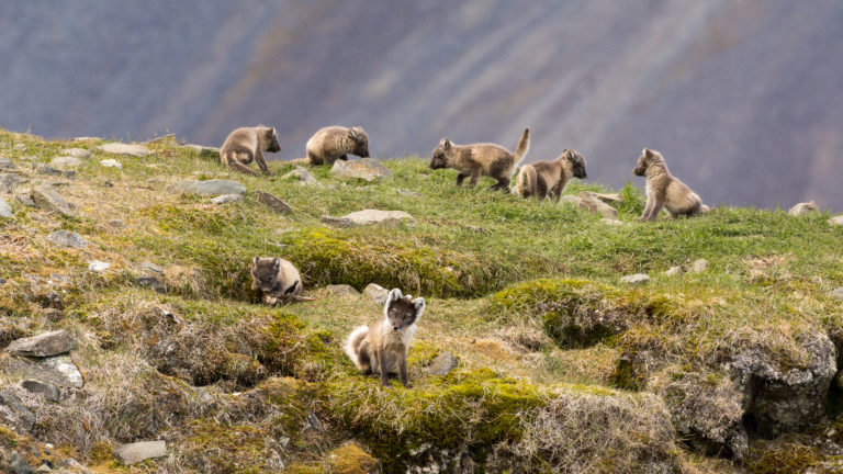 Foto: Jarle Røssland