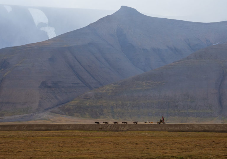 Foto: Ann J Nordvålen