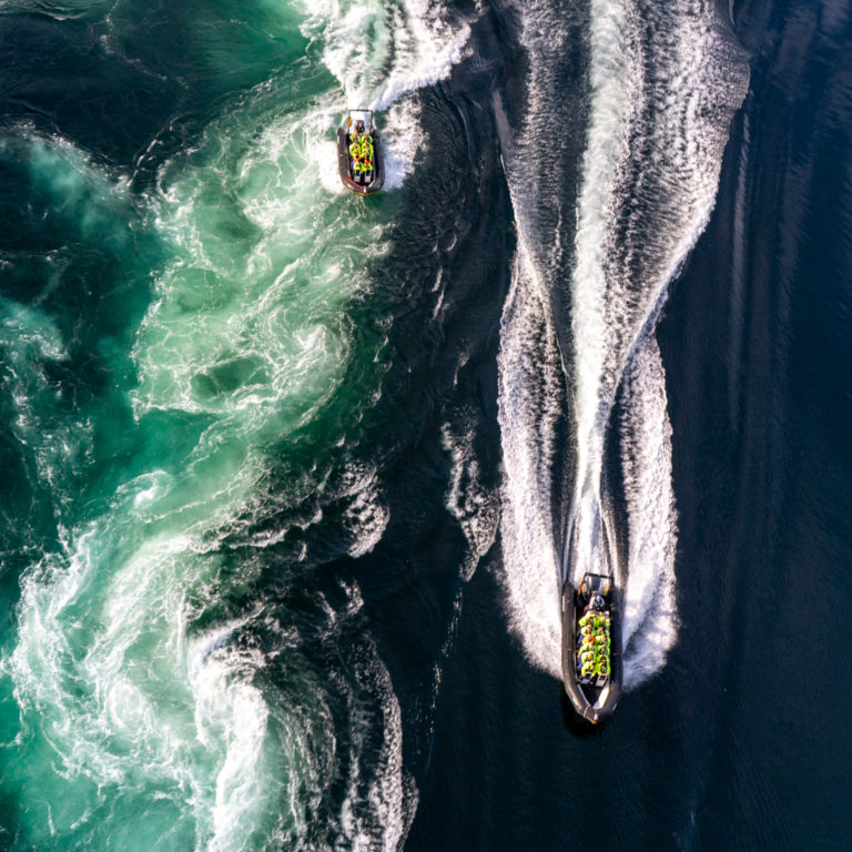 Two ribs in Saltstraumen © Meike Zylman